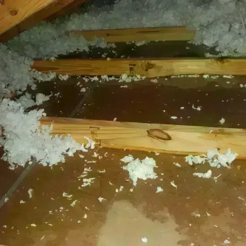 Attic Water Damage in North Kingsville, OH