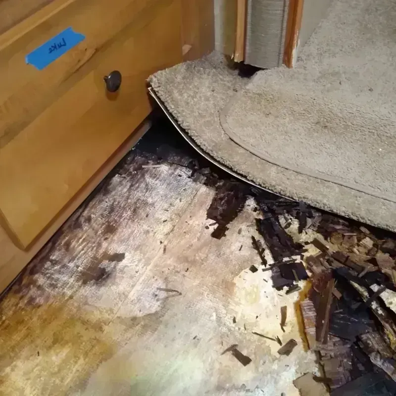 Best Wood Floor Water Damage Service in North Kingsville, OH